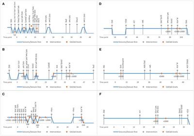 Clinical Management of Epilepsy With Glutamic Acid Decarboxylase Antibody Positivity: The Interplay Between Immunotherapy and Anti-epileptic Drugs